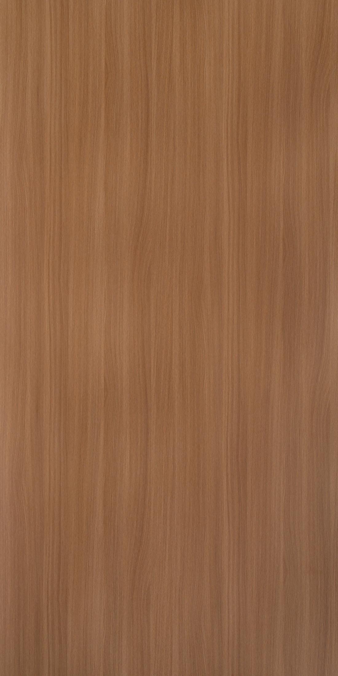 Golden Oak - GR 622