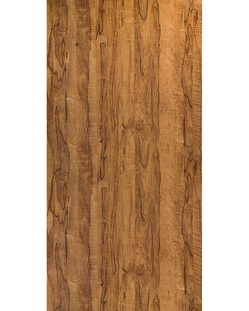 Coral Wood - TV 831