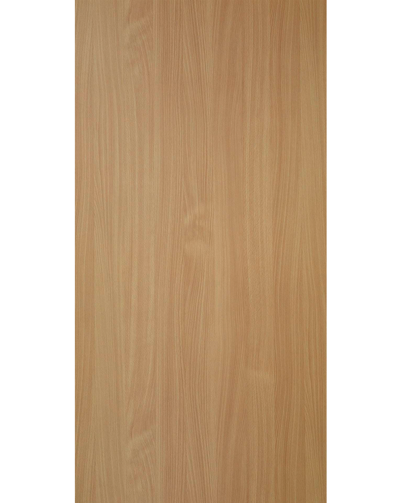Bavarian Beech - SF 1802 Dorby