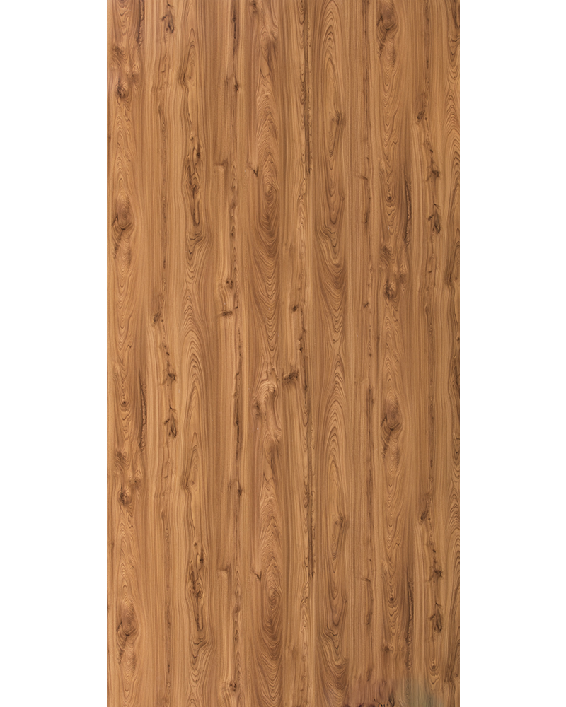 Monarch Elm - HG 1548