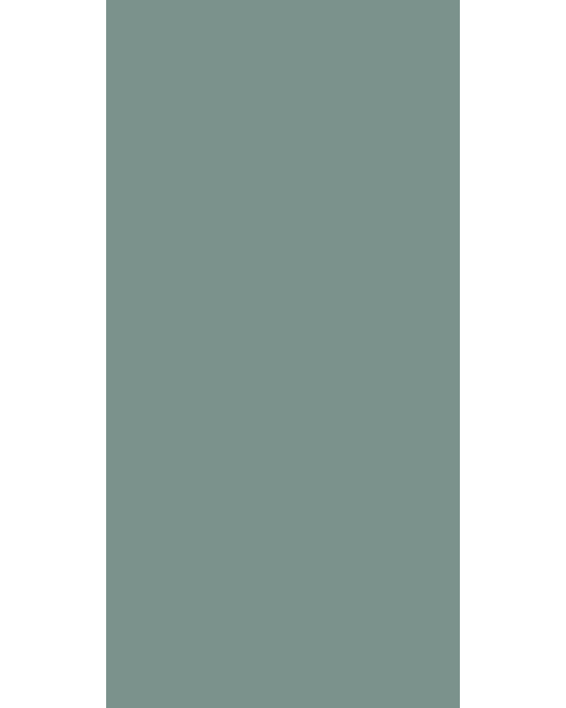 Shore - SF 8146