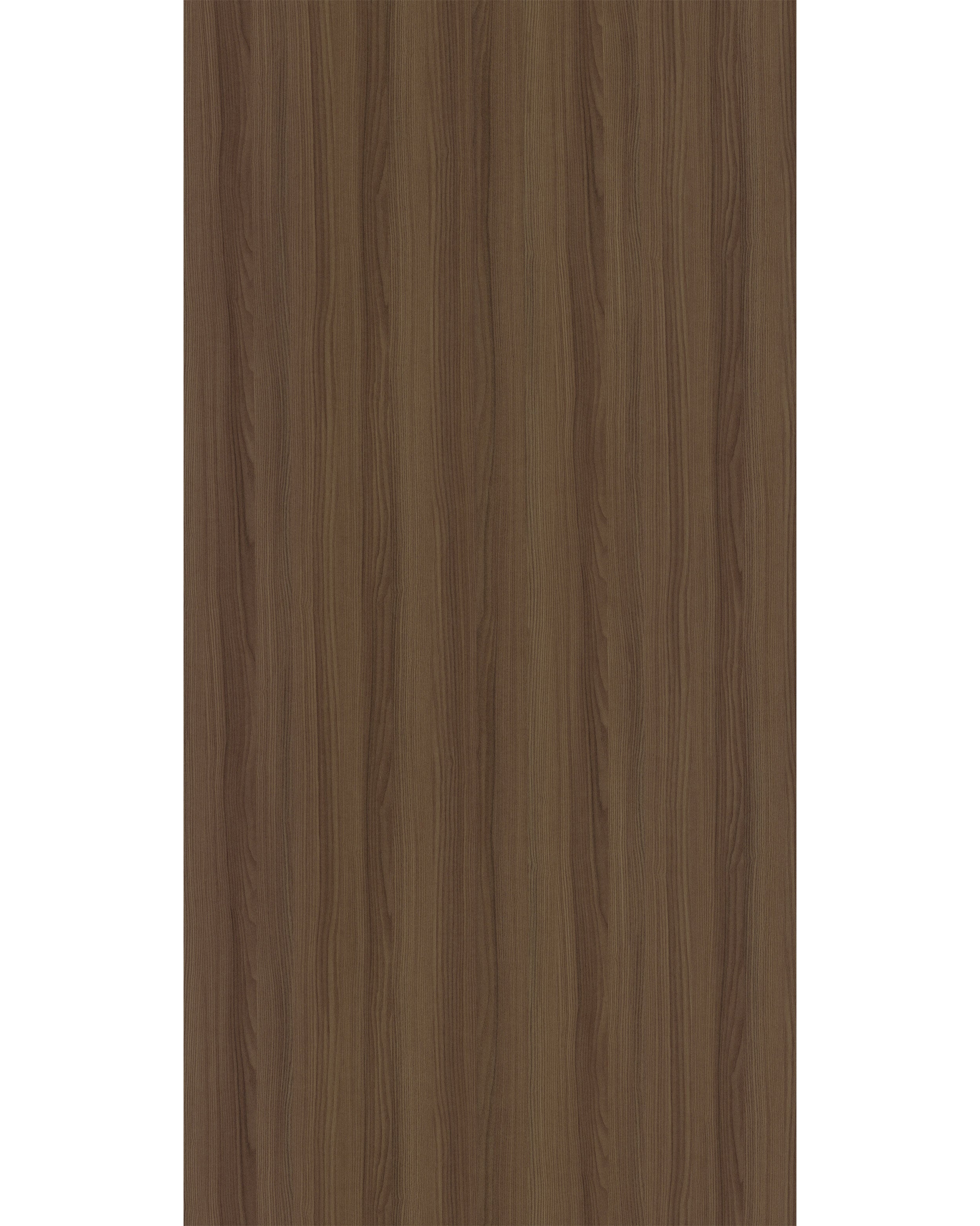 الرماد الأمريكي - SF 8067