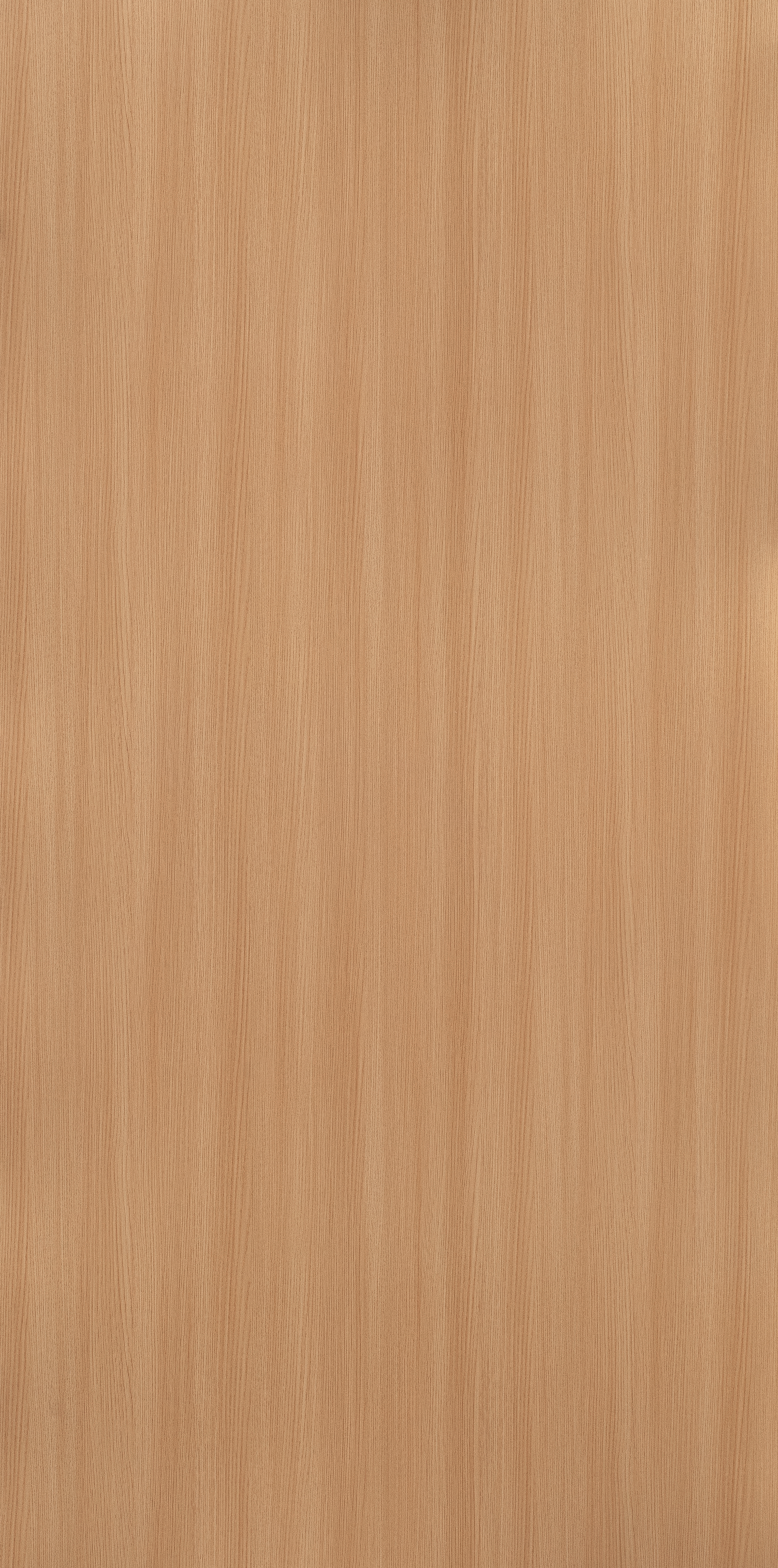 Swiss Ash - GR 94066
