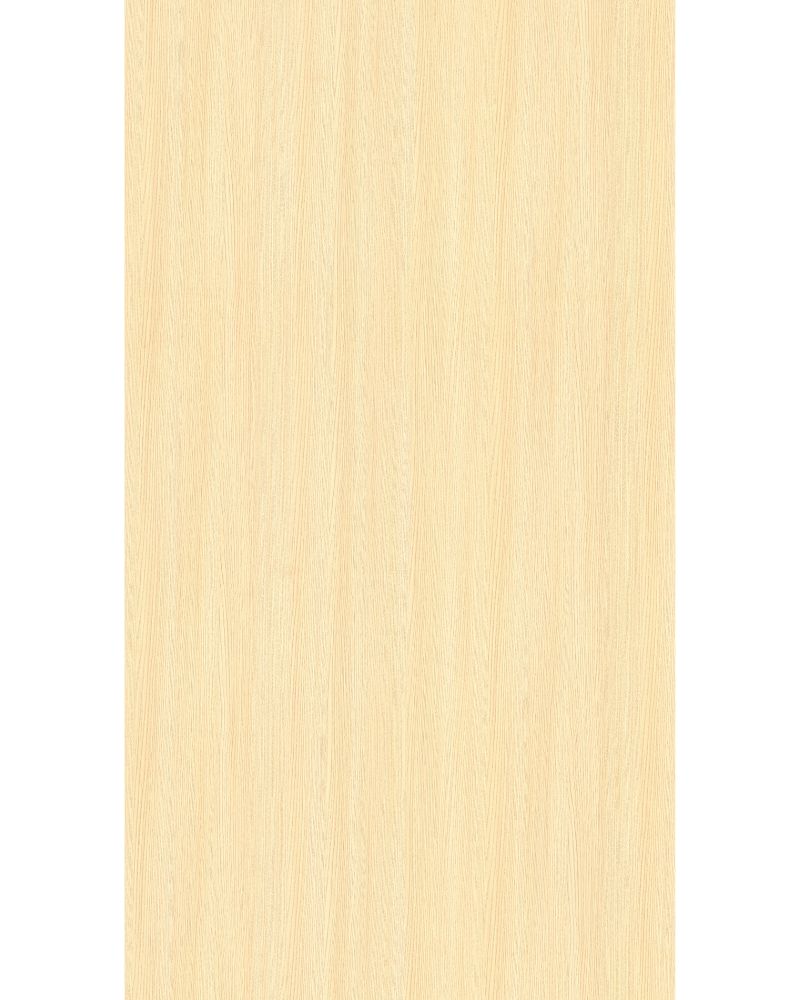 American Ash - GR 94067