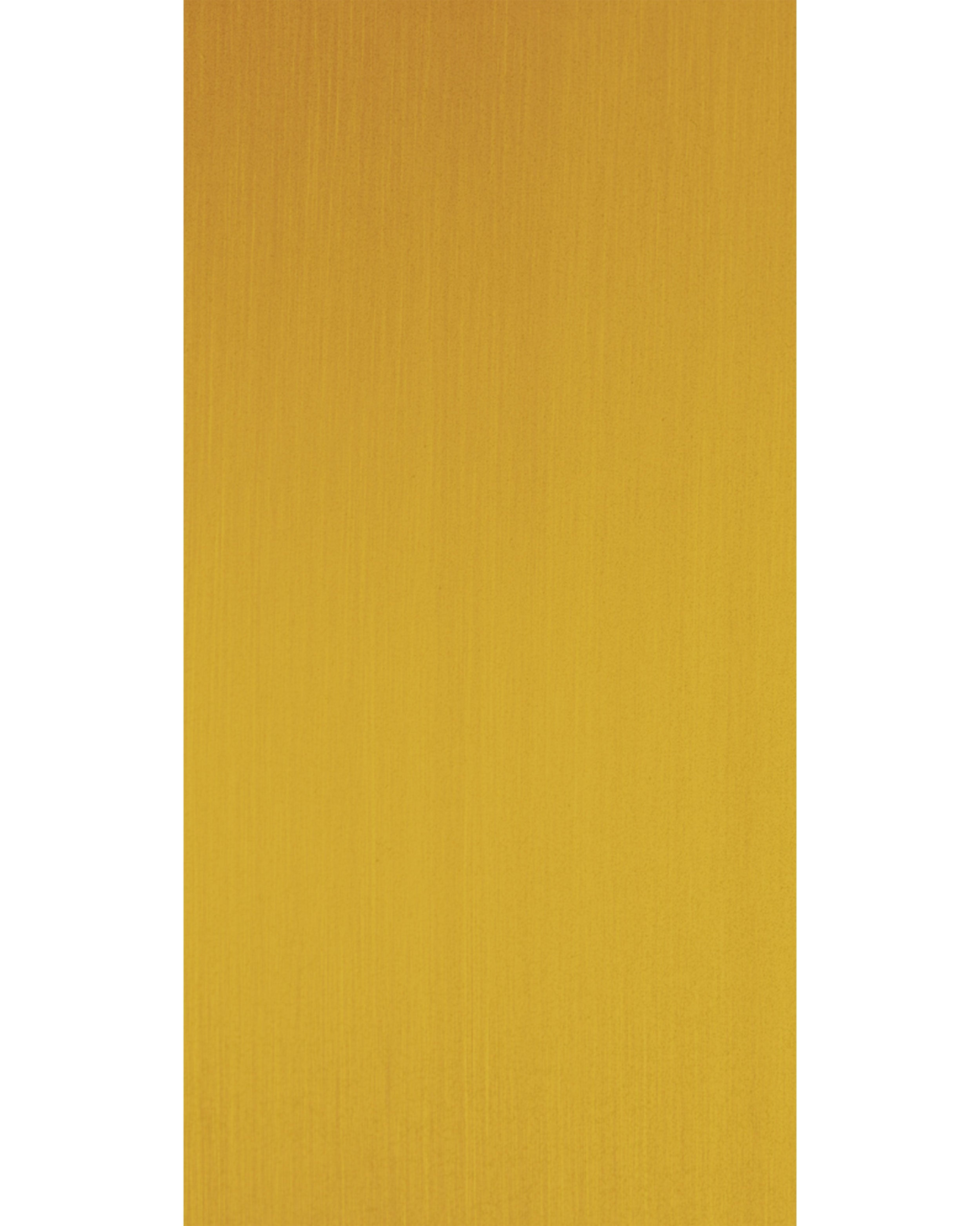 Gold Metal - DMS 2