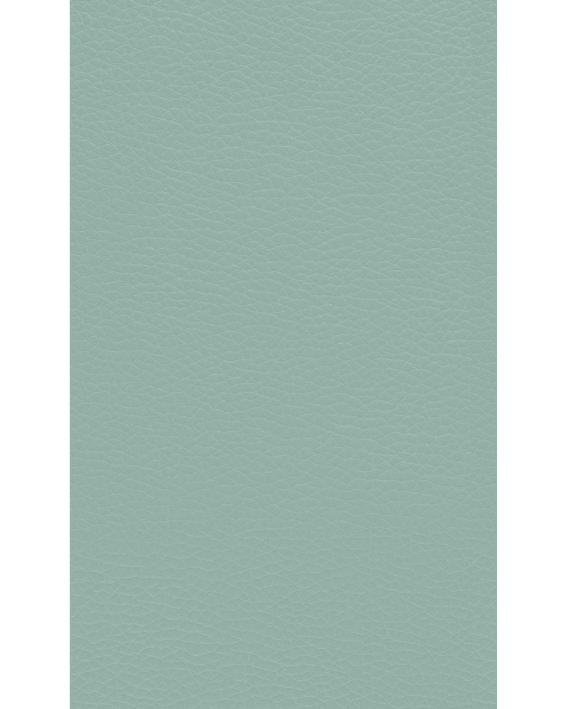 وردي - SF 113