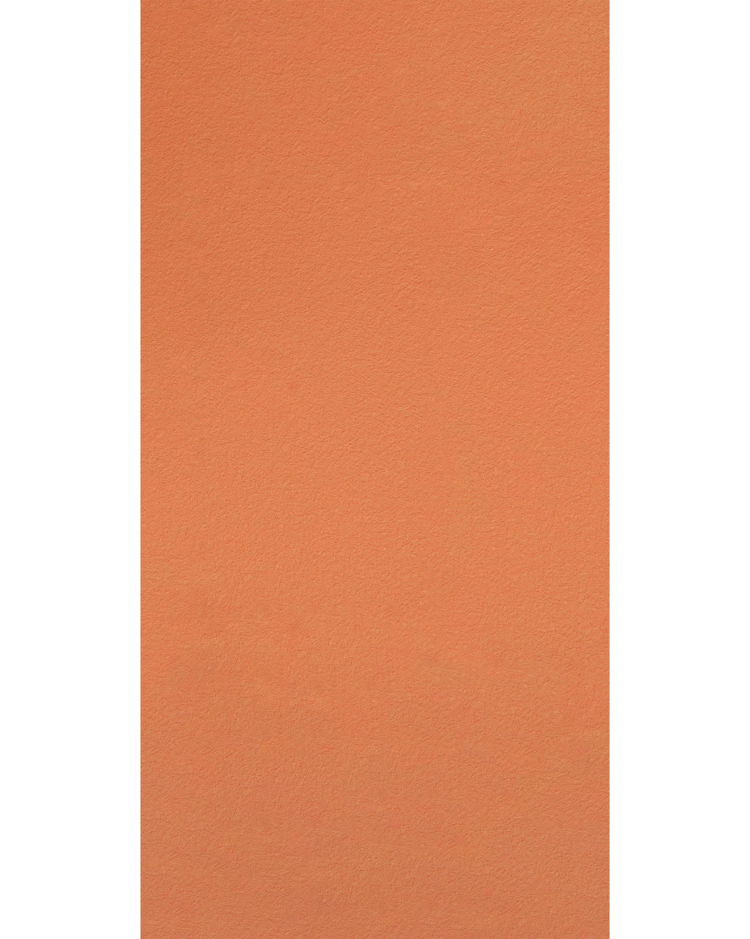 Rustic Orange - NL 137