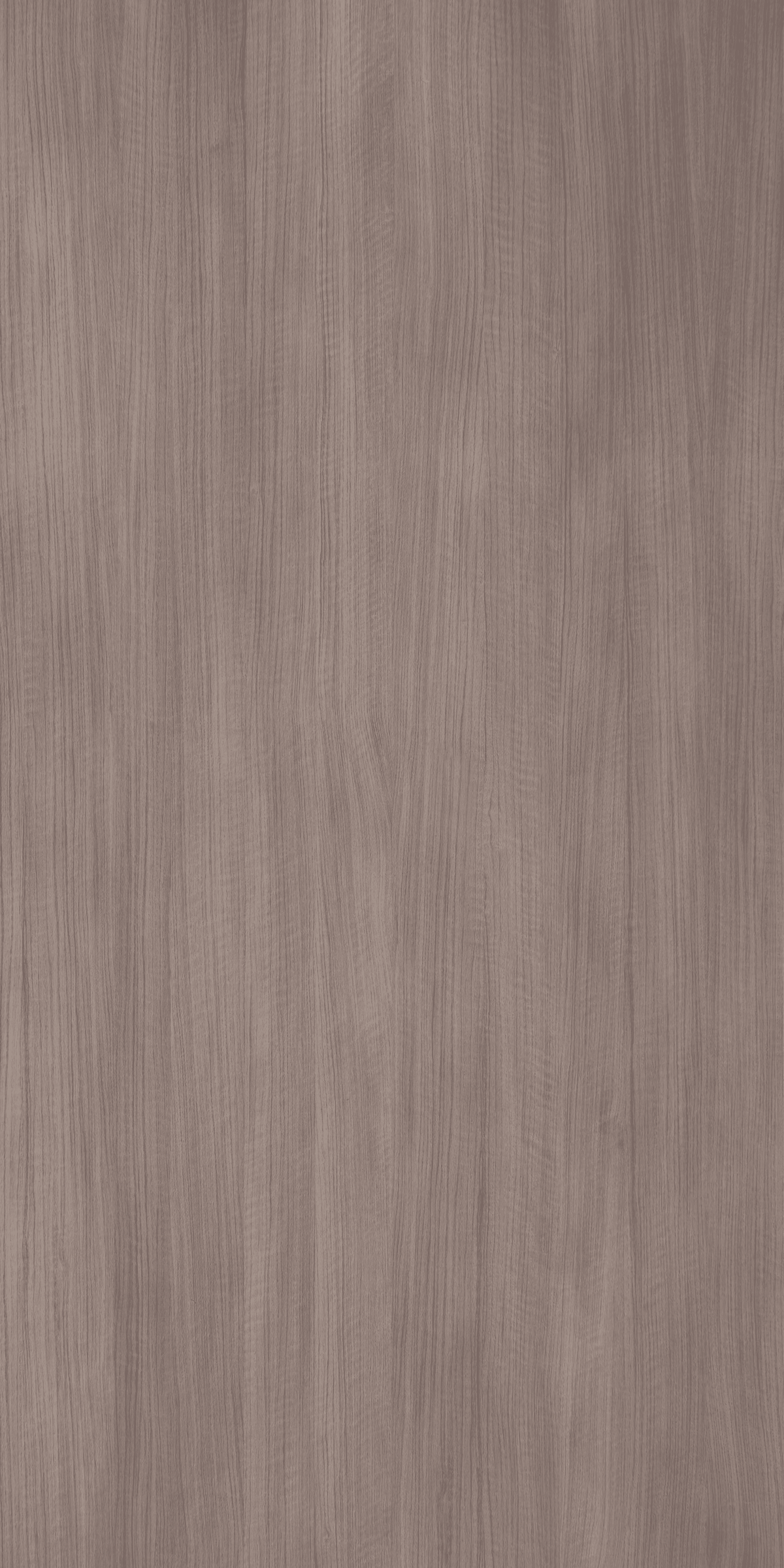 Royale Oak – RA 1681