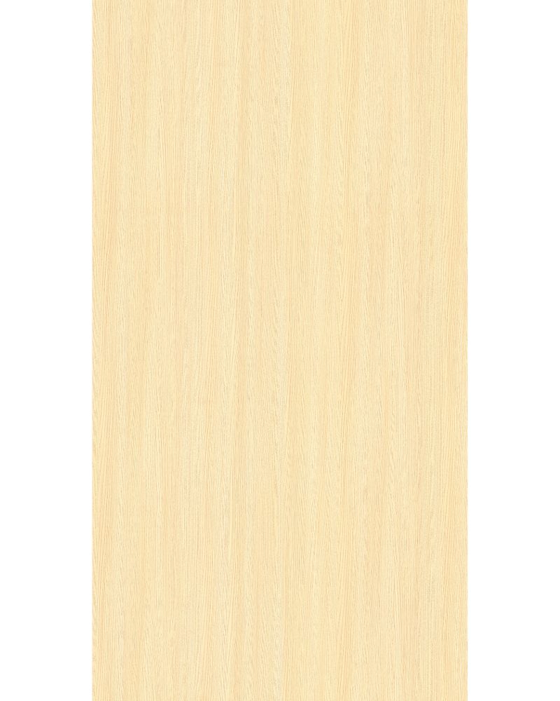 American Ash - RO 8067