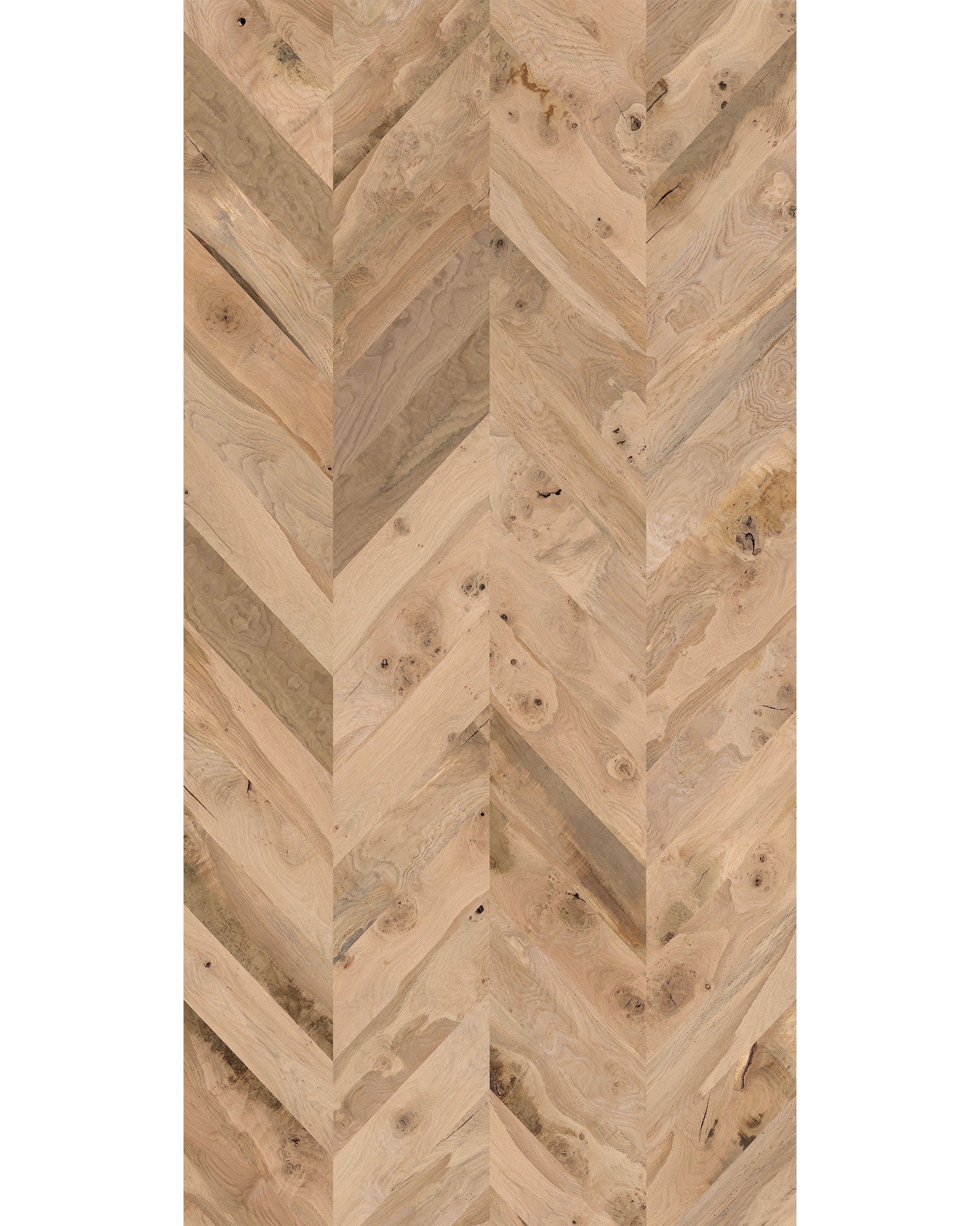 الجوز المجوّف - SF 2004