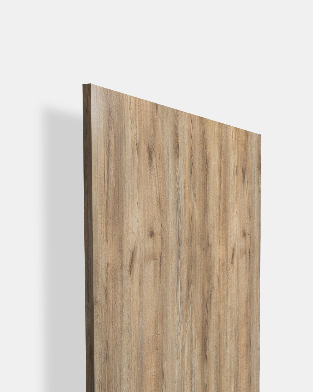 English Alder - SF 89031