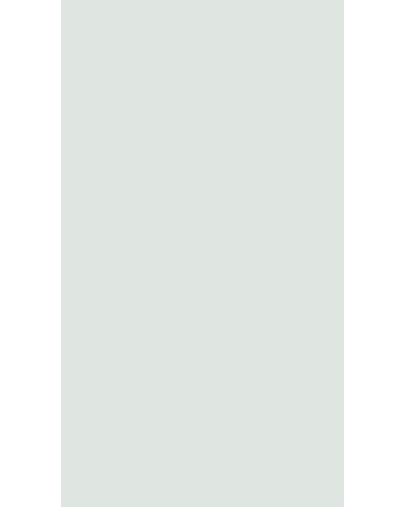 Silver Grey - VV 4106