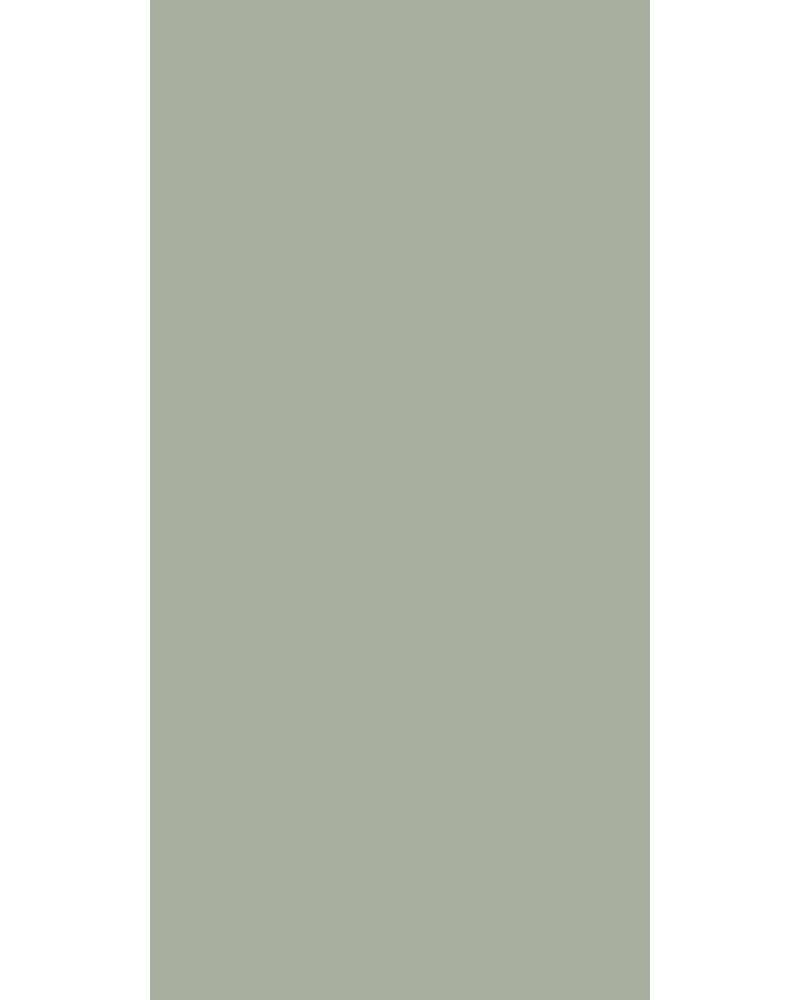 Desert Sage - VV 4162