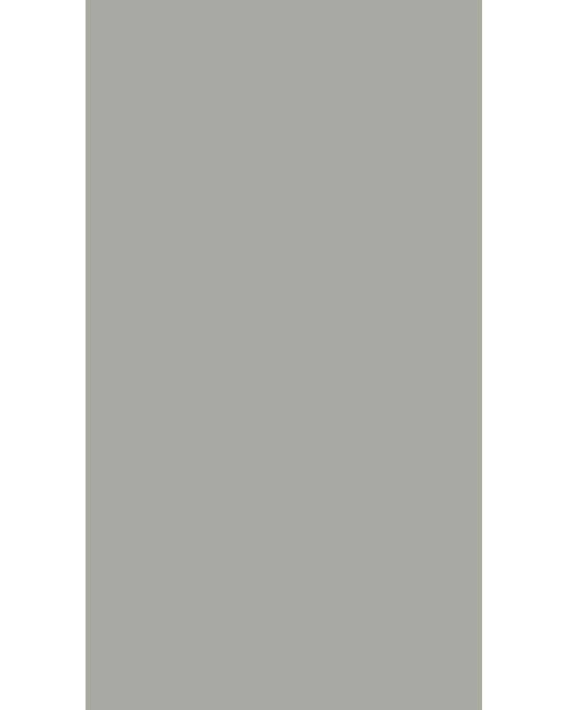 Pebble Grey - VV 4189