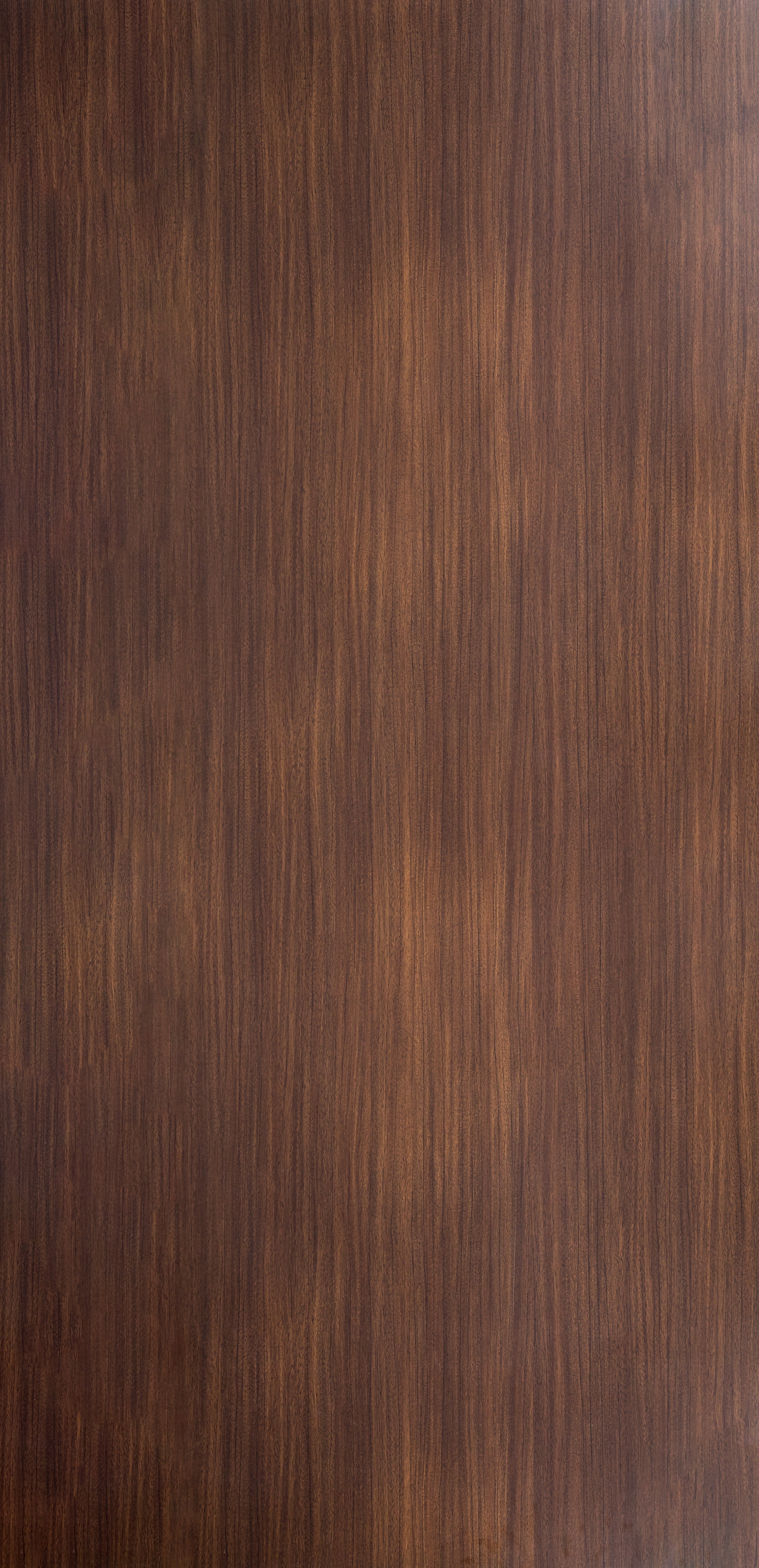 Maderia Chestnut - VZ 9017