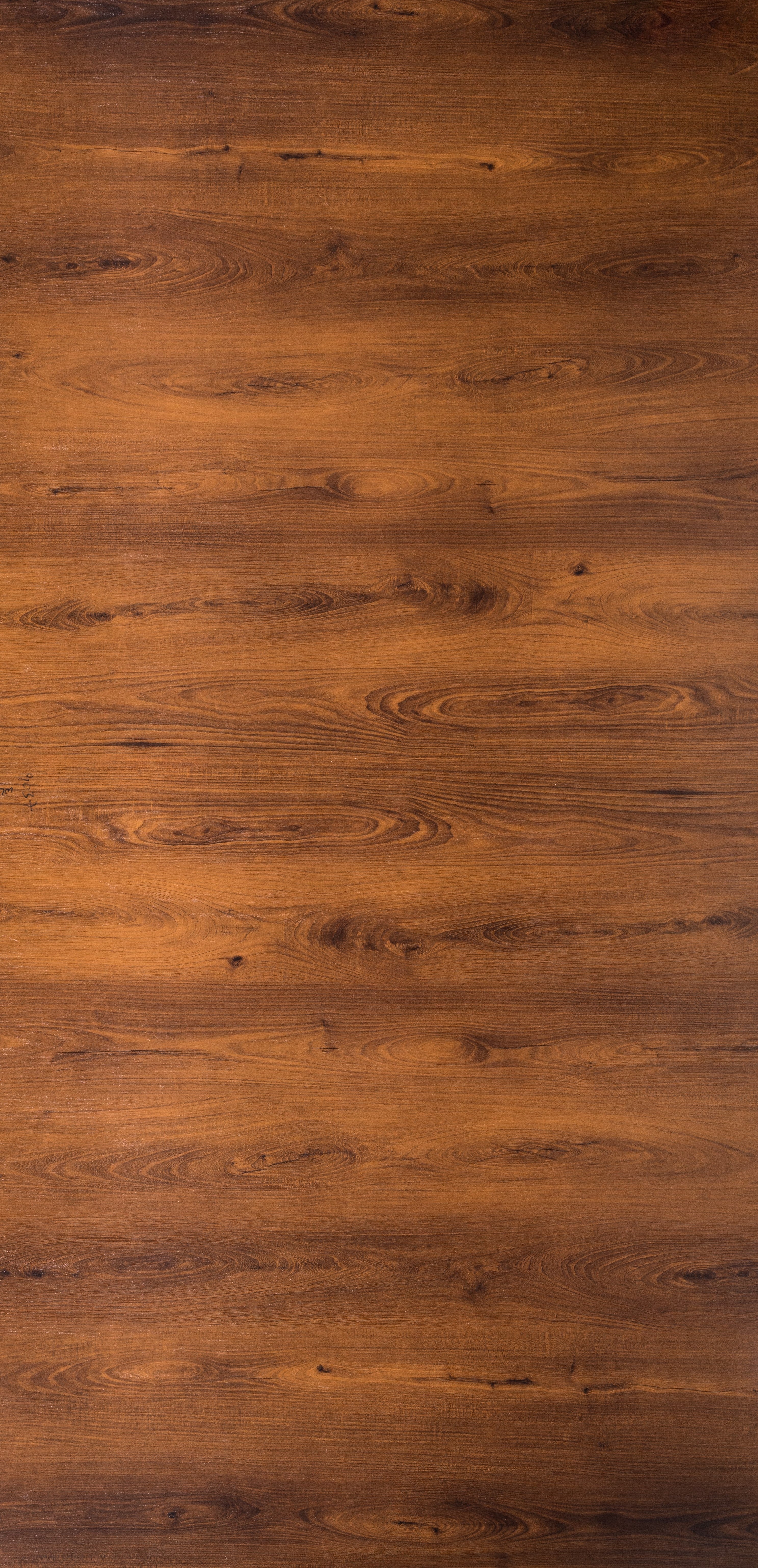 Bolvian Cedar - WL 9037 HZ