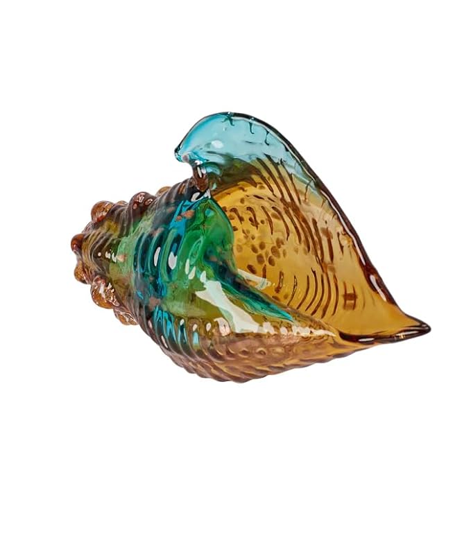 Ocean Conch (Small)