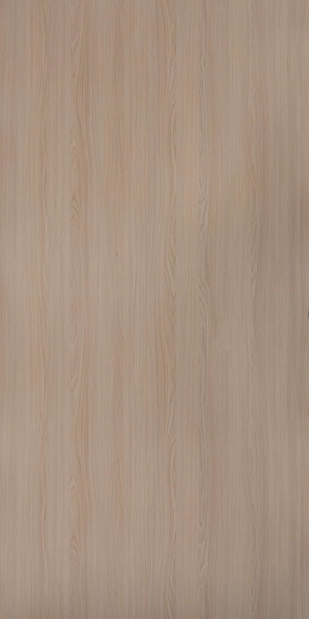 Fresh Oak - GR 608