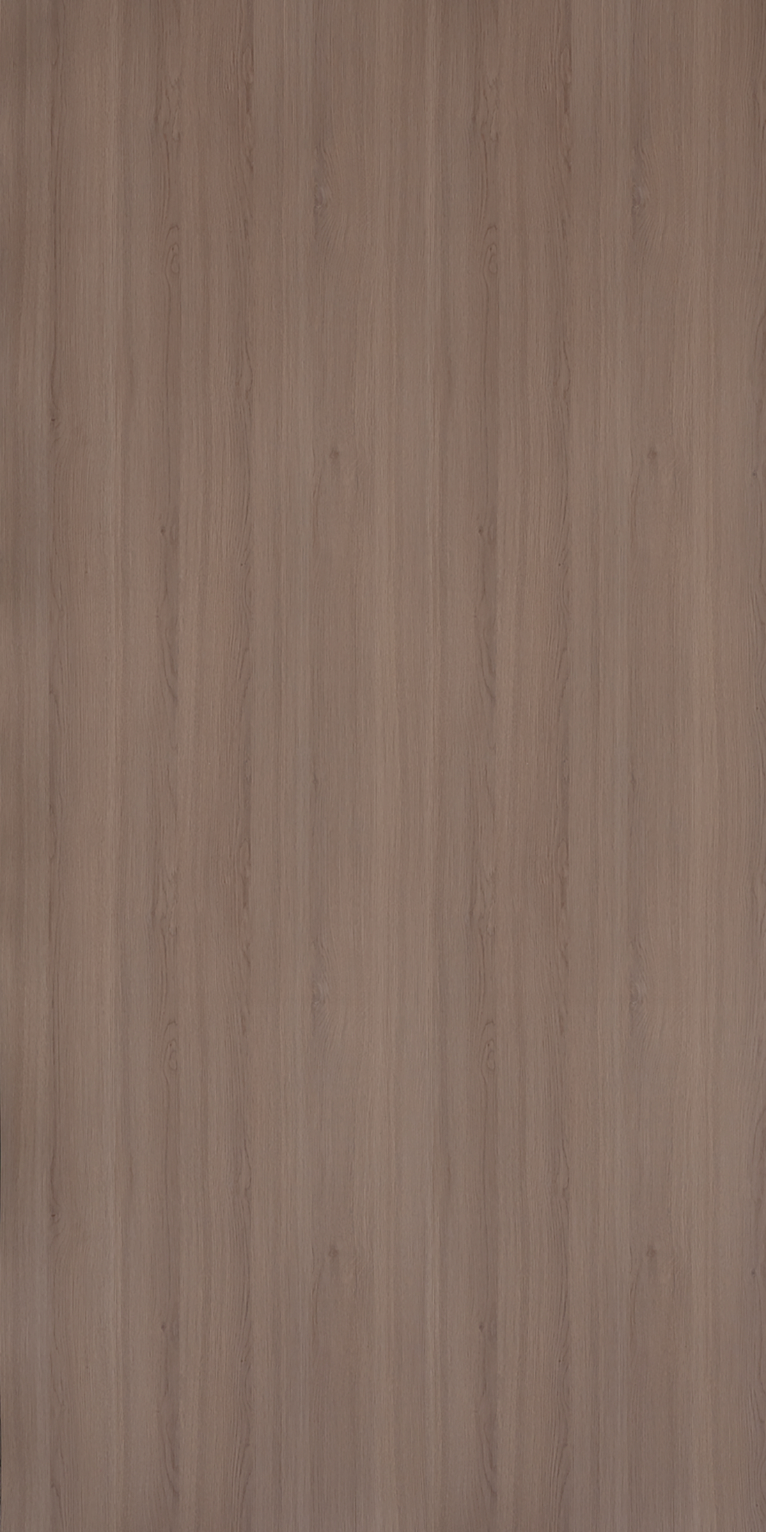 Nitro Oak - SF 609