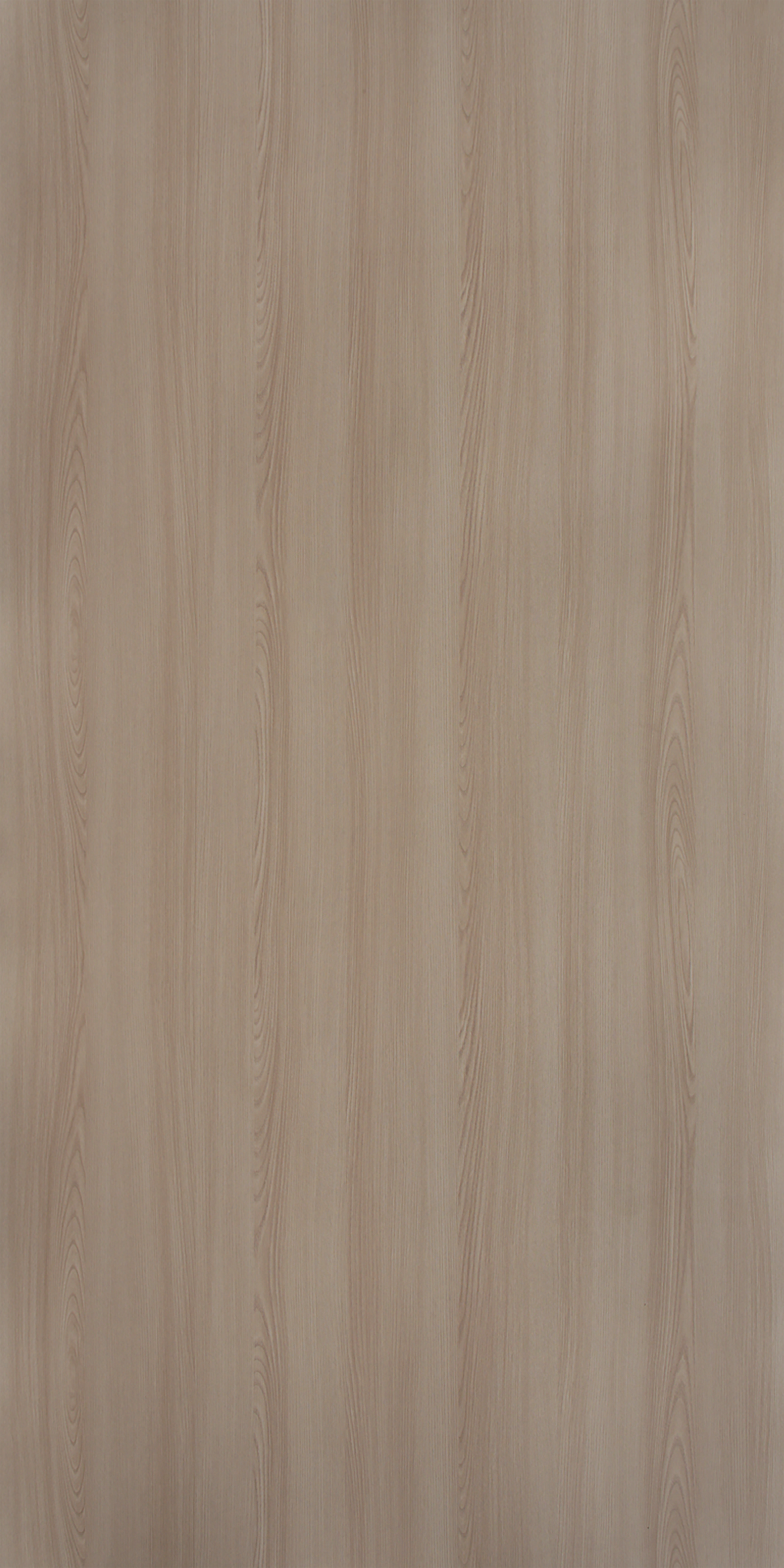 Tasmania Ash - SF 616