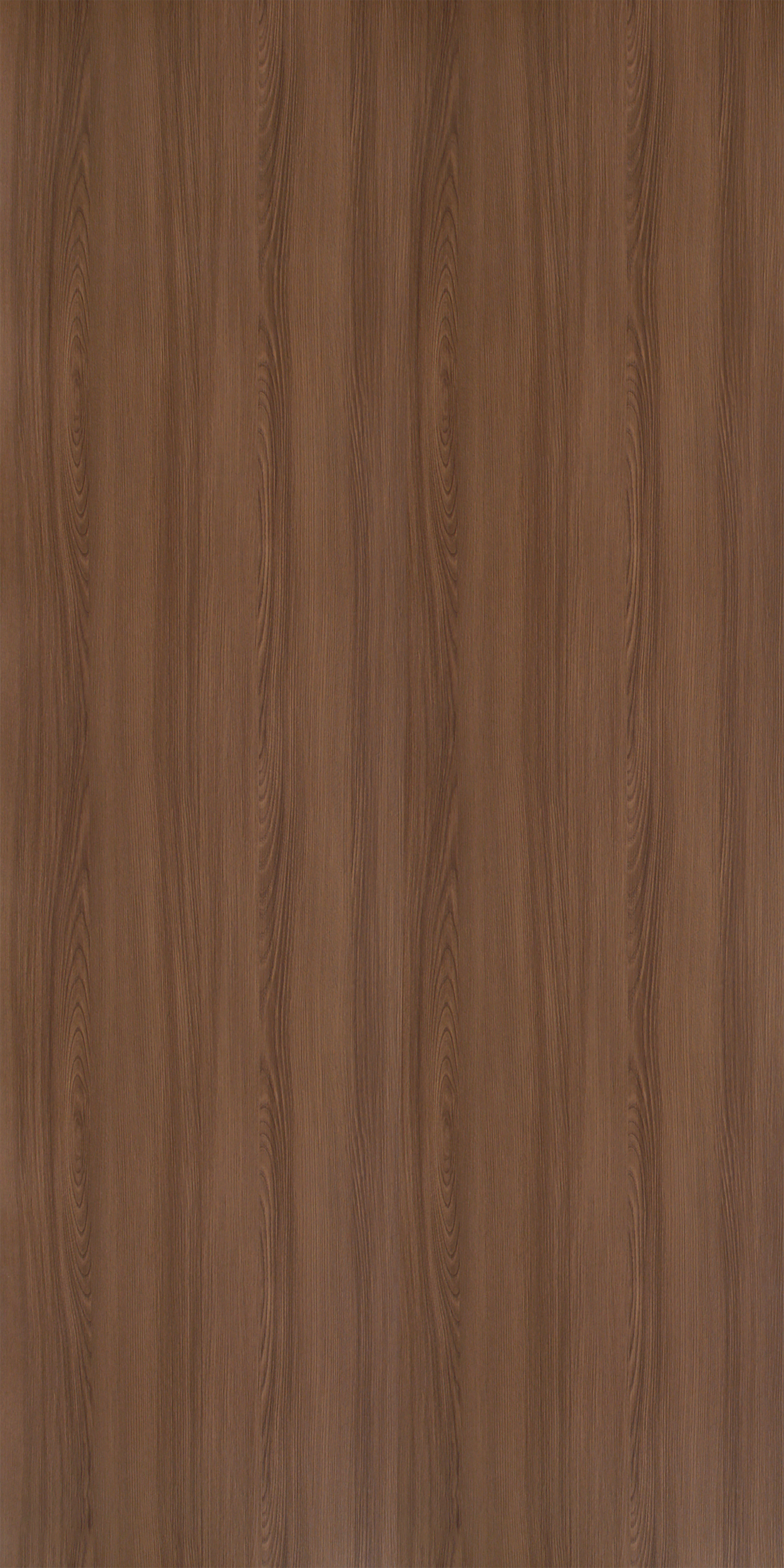 Graphite Ash - SF 617