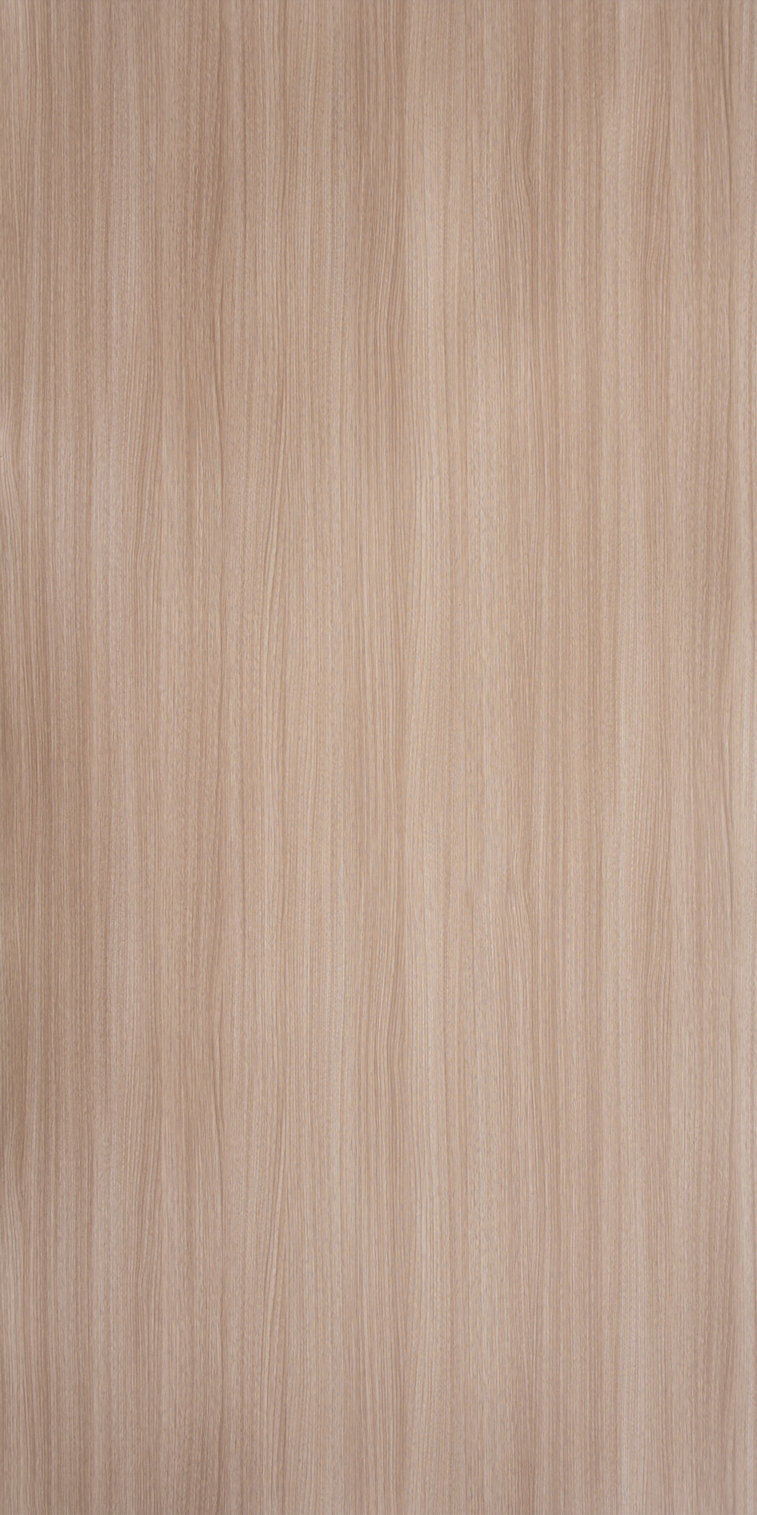 Silver Teak - SF 618