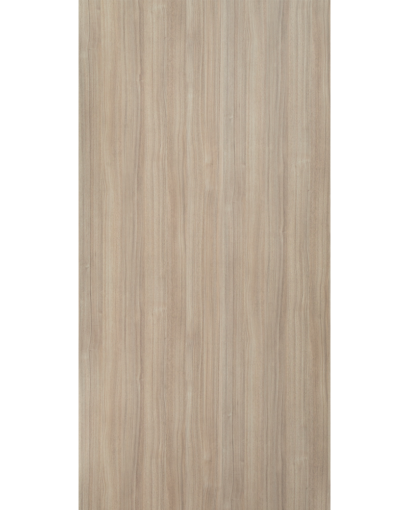 Persian Walnut - GR 1141