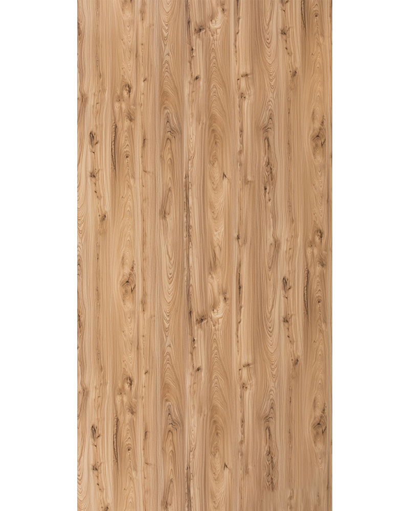 Monarch Elm  - HG 1547
