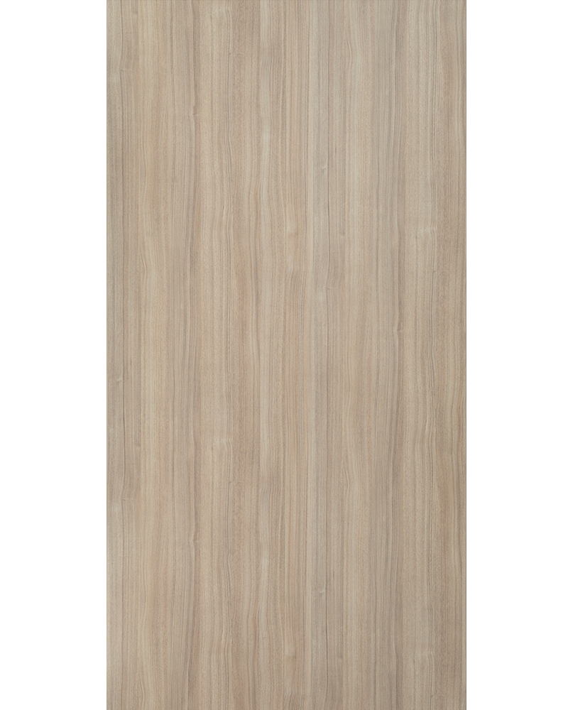 Persian Walnut - SF 1141