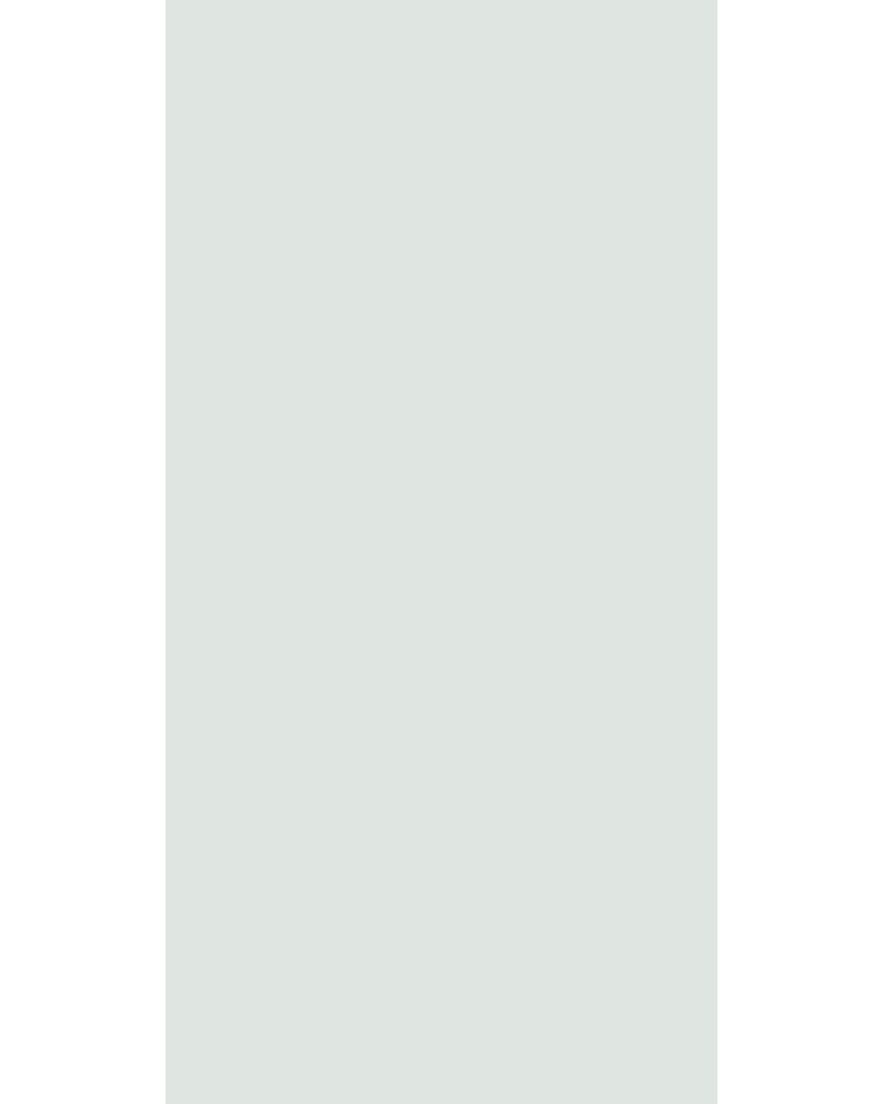 Silver Grey - VV 8106