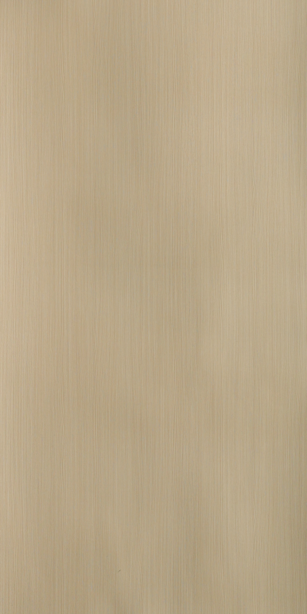 Silky Oak - GR 601