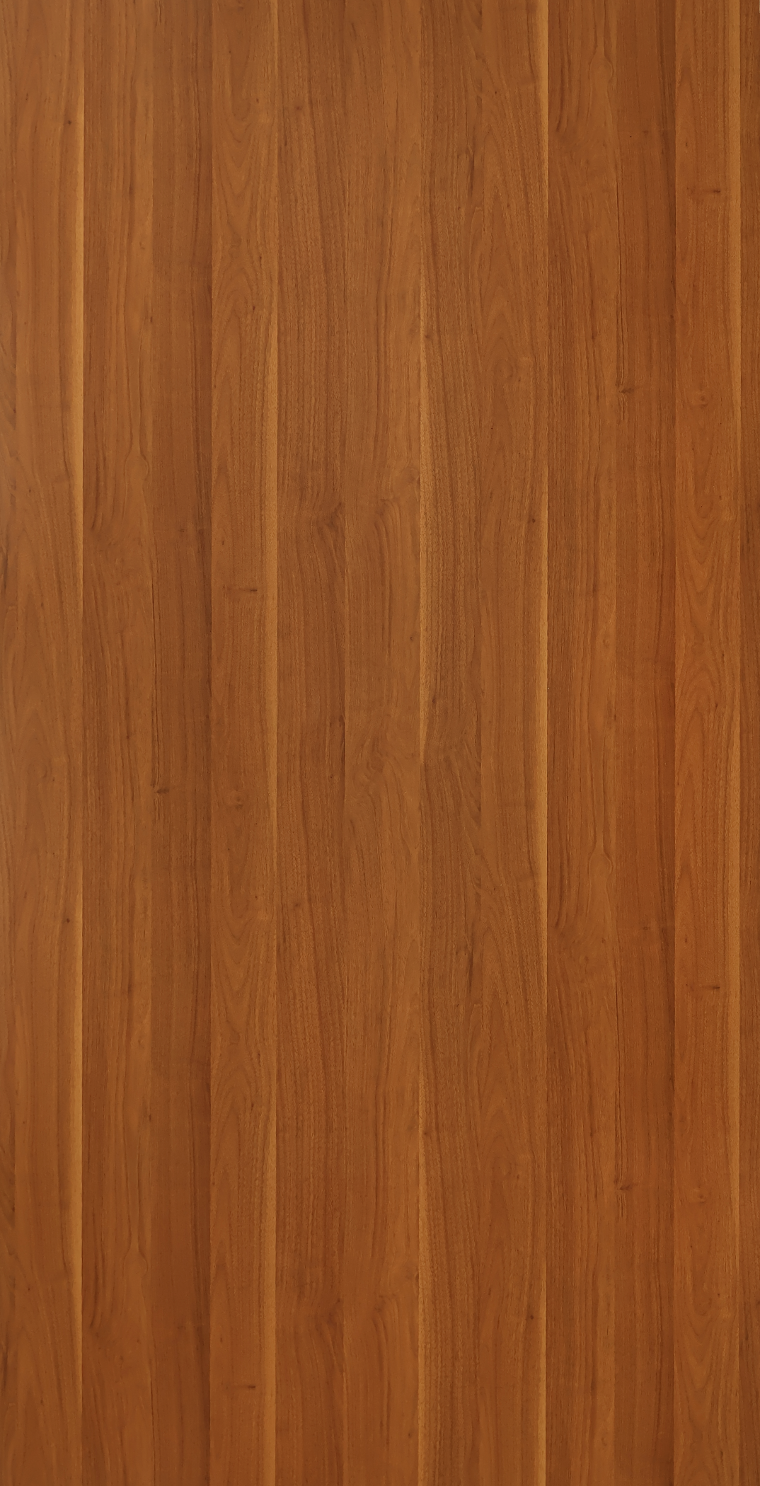 Golden Pecan – HL 604