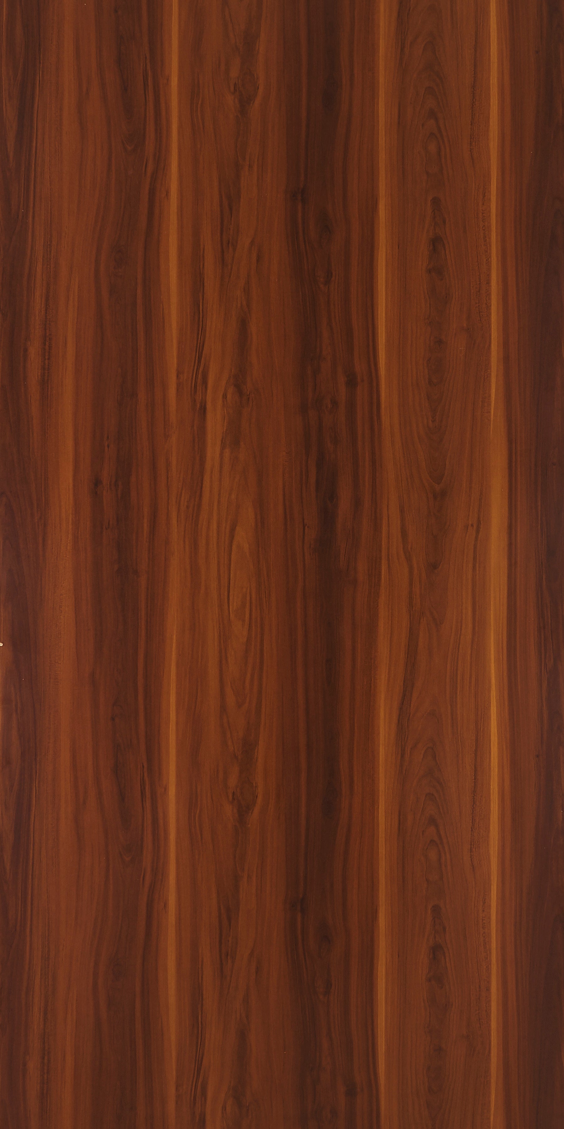 Mountain Alder - SF 9080
