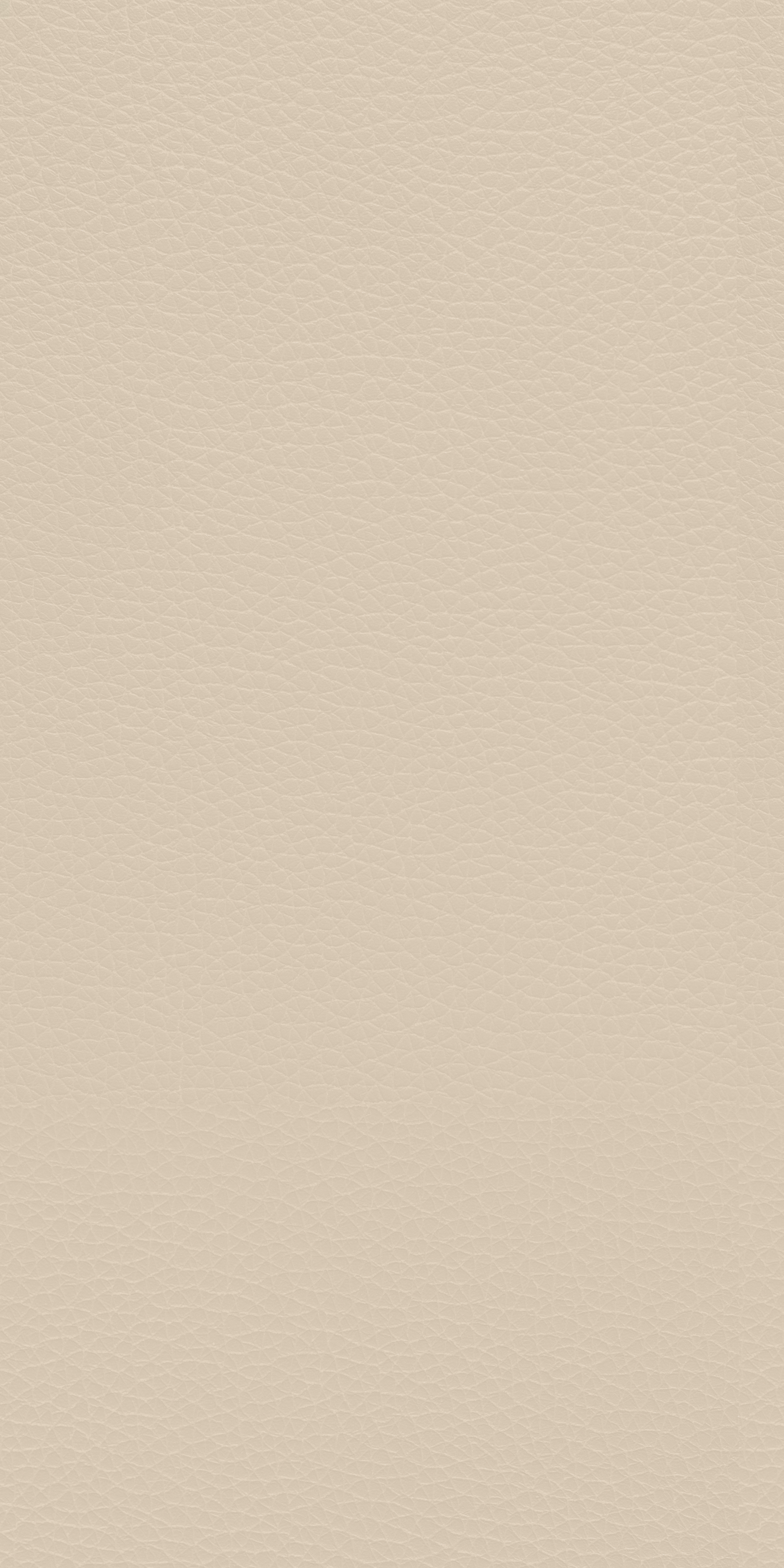 Abalone Creme - LT 199