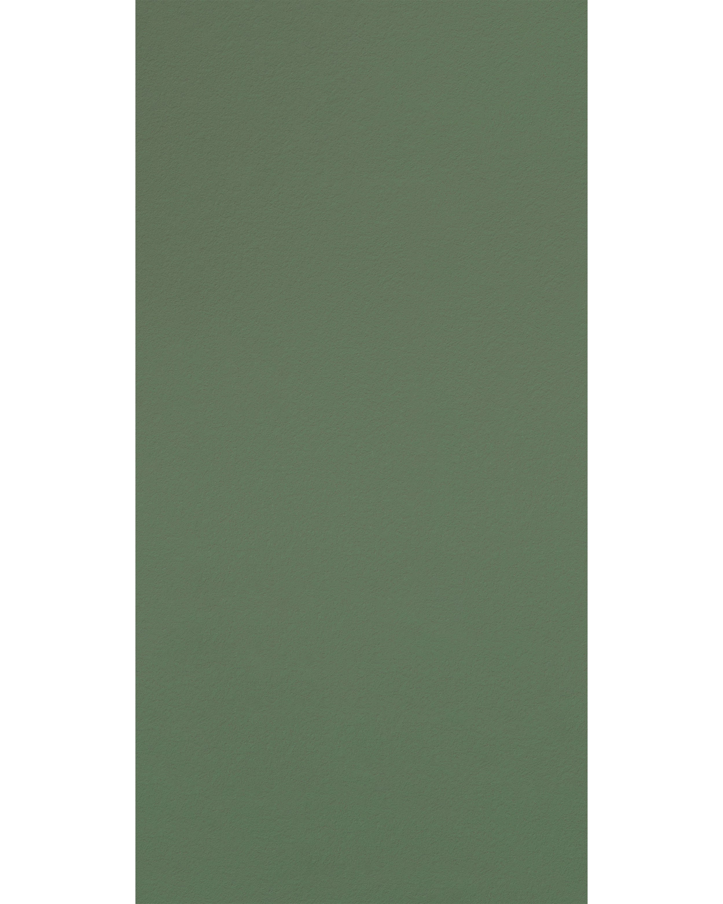 Chic Green - NL 139
