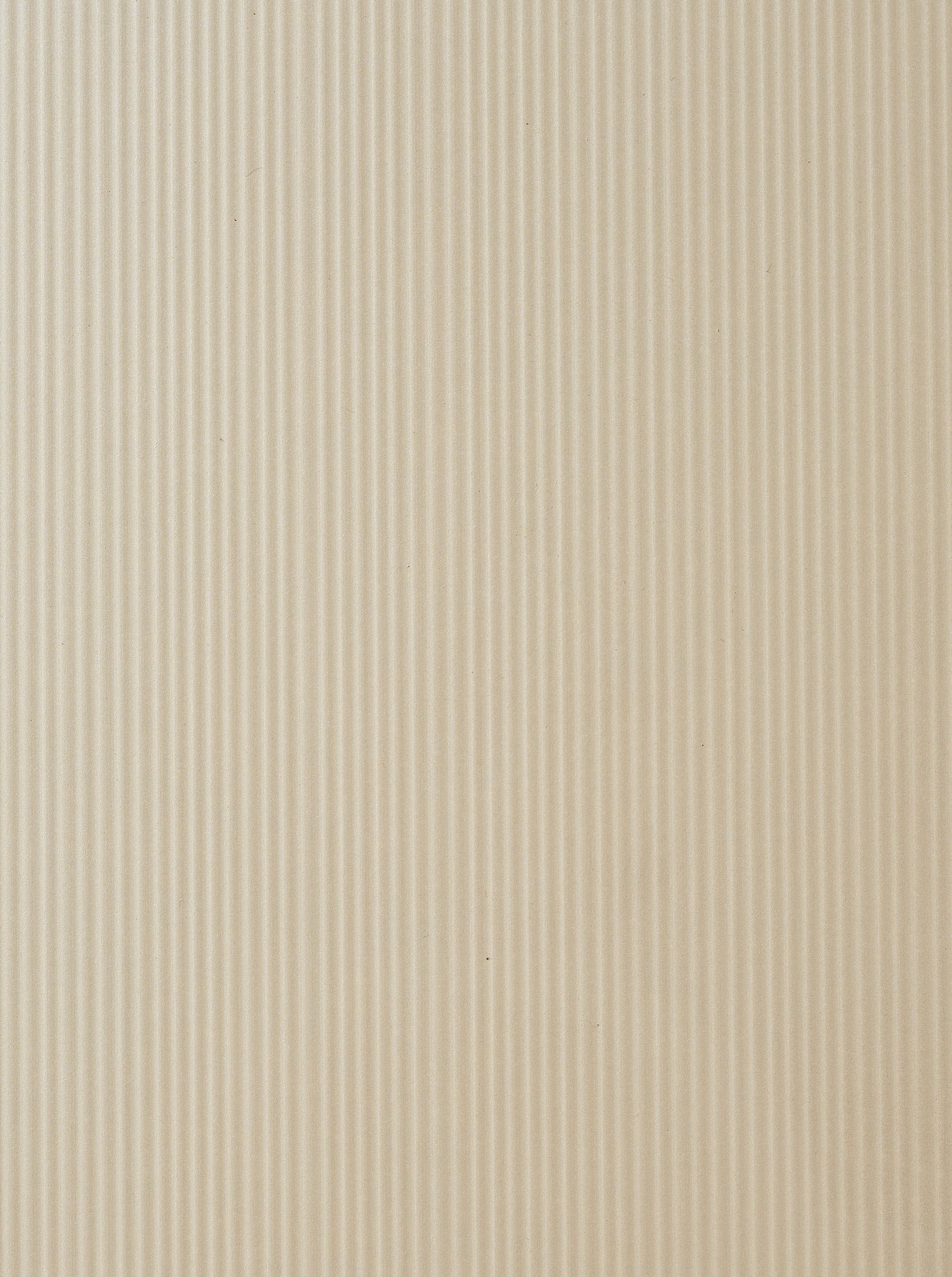Sea Pearl - SC 156
