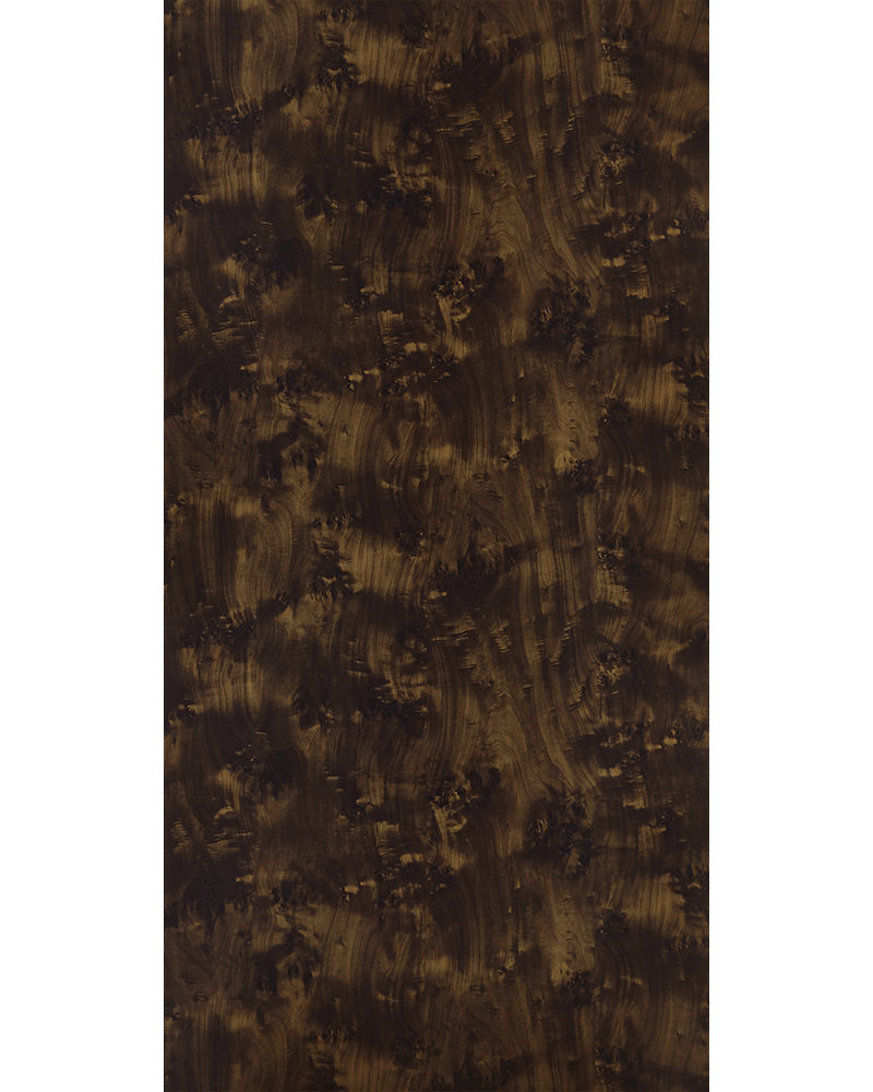 Rustic Burl - SF 8851