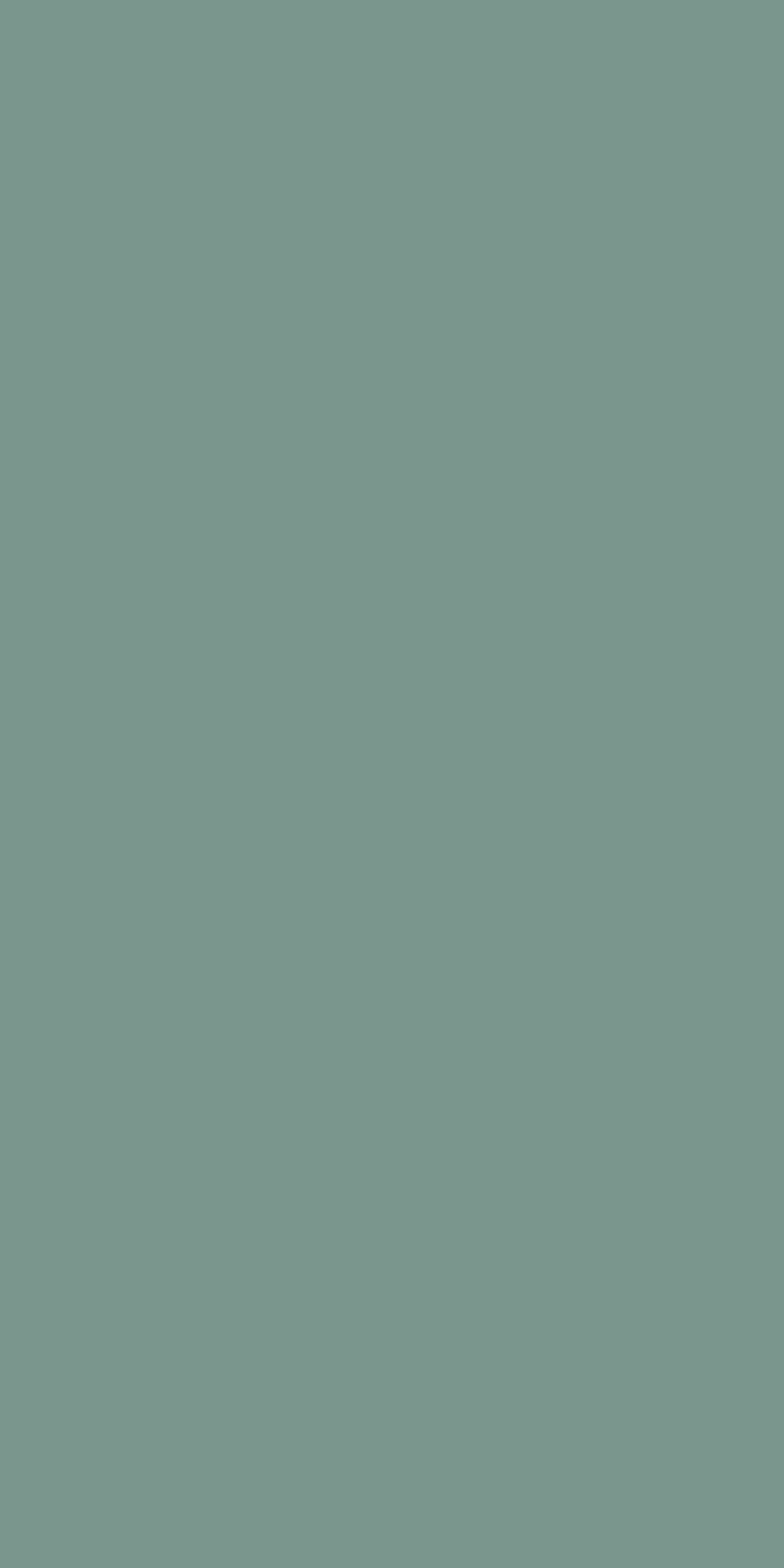 Lime Green - VV 8205