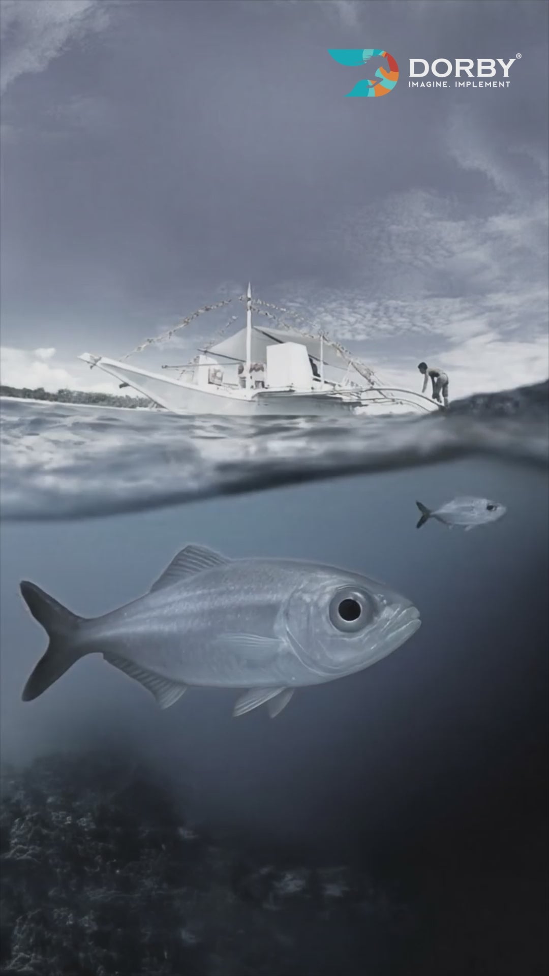 Sylvian Burl - ZF 15210 - reel