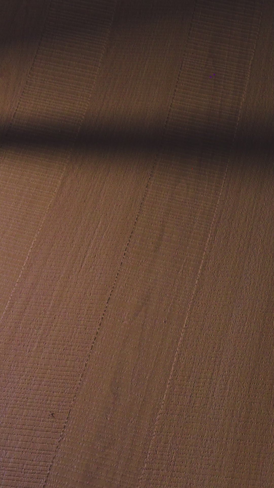 Alpine Dune - CZ 71613 / Golden Dune -CZ 71613