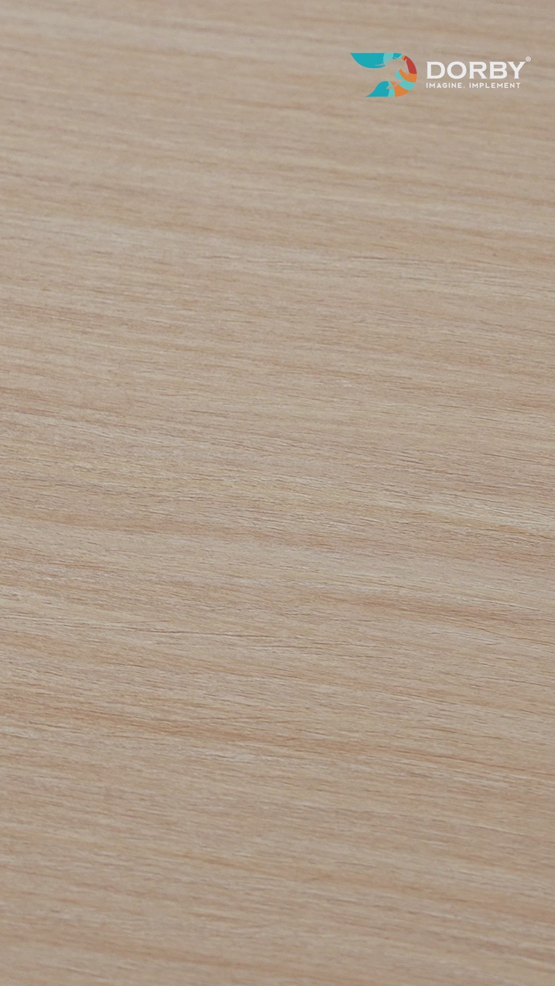 Studio Elm - RE 15404 - reel